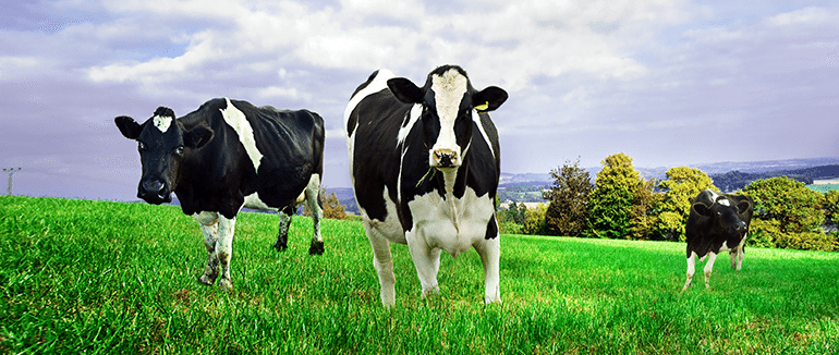 NZTech Update: The evolution of everything and dairy-free milk!