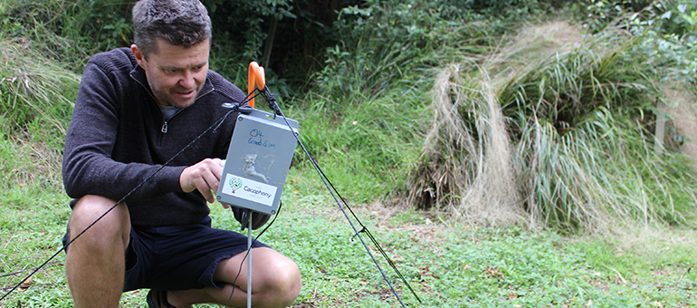 Hopelessly addicted inventor saving native birds with AI