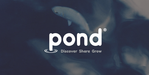 N4L helps OMGTech! support teachers through Pond