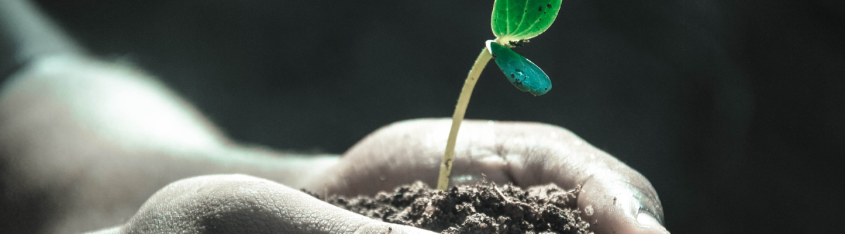 Life sciences could be a jewel in the NZ economy